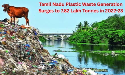 Tamil Nadu’s Plastic Waste Generation Surges to 7.82 Lakh Tonnes in 2022-23