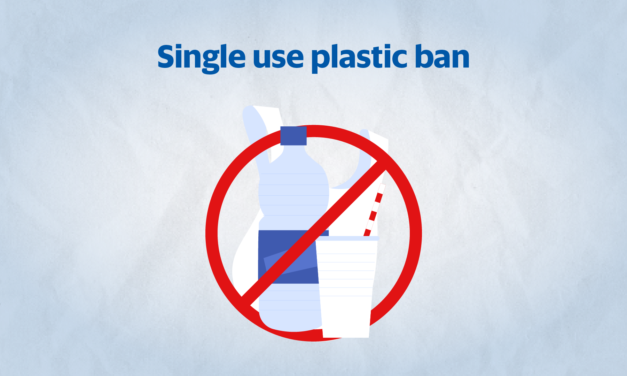  High Court Permits Single-Use Plastic as Packaging Material