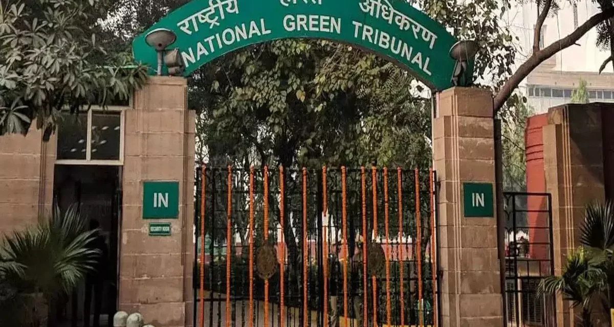 National Green Tribunal Halts Environmental Clearance for Tiruvallur Polymer Park