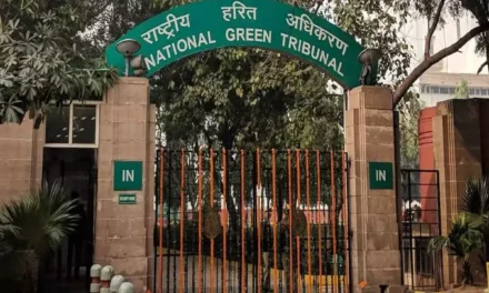 National Green Tribunal Halts Environmental Clearance for Tiruvallur Polymer Park
