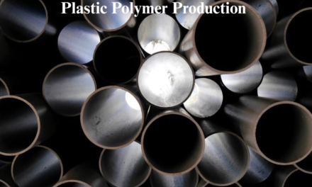 India Stands Firm Against Regulation of Plastic Polymer Production