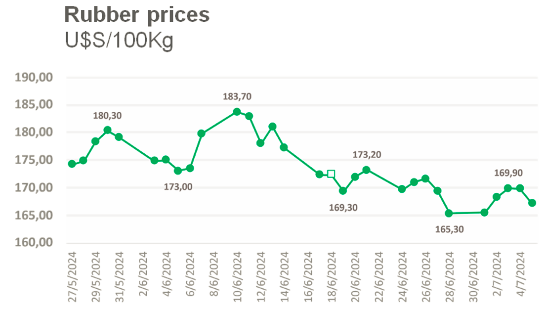  India Faces Acute Shortage of Natural Rubber; Prices Soar