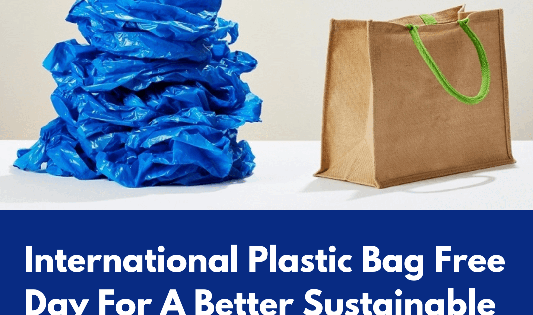  Public Awareness Campaigns Highlight Environmental Impact of Plastic Bags