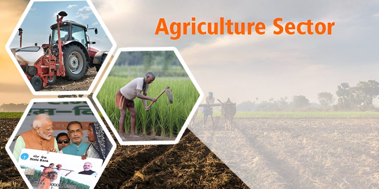  Increased Demand for Durable Plastic Boxes in Tamil Nadu’s Agricultural Sector