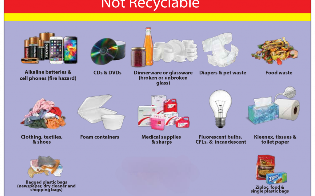  Public Awareness Campaigns Highlight Environmental Impact of Non-Recyclable Containers