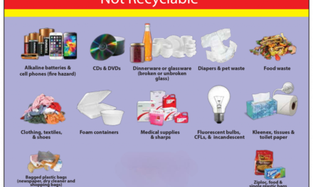  Public Awareness Campaigns Highlight Environmental Impact of Non-Recyclable Containers