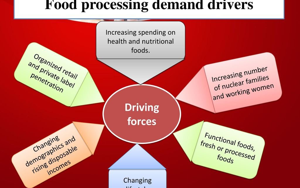  Food Industry Drives Demand for Metal Containers in India