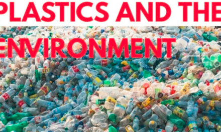 What are the environmental challenges associated with single-use plastic packaging, and how is the industry addressing them?