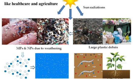 How are plastic bags used in industries like healthcare and agriculture, and what materials are preferred for these uses?