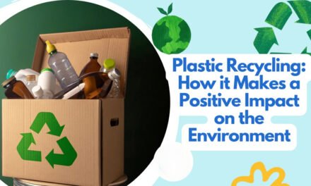 What are the environmental concerns associated with plastic containers, and how is the industry addressing these through recycling and sustainability initiatives?