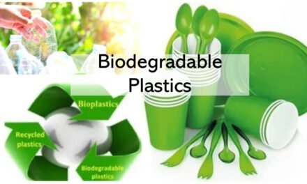 How does the use of recycled plastics or bioplastics impact the performance and cost of plastic containers?