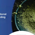  Matrix Polymers Develops Sustainable Materials for Rotational Molding