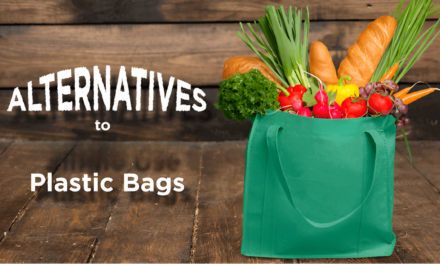 . India’s Plastic Bag Ban Spurs Innovation in Biodegradable Alternatives