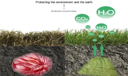 What is the role of biodegradable and compostable plastic bags in reducing environmental impact?