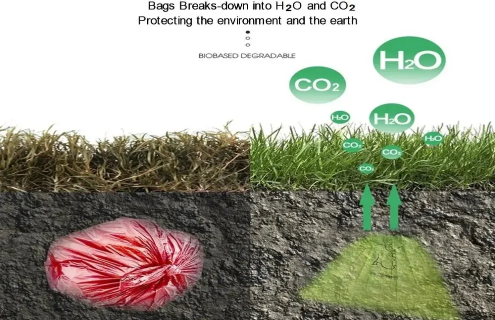 What is the role of biodegradable and compostable plastic bags in reducing environmental impact?