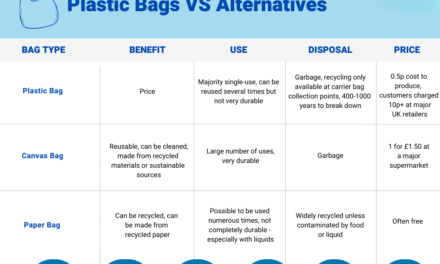 What are the alternatives to conventional plastic bags, and how do they compare in terms of cost and performance?