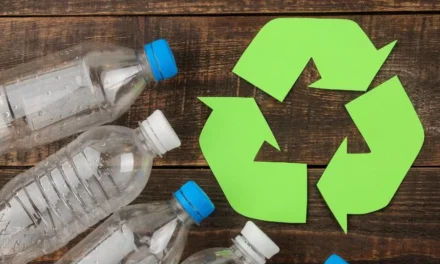 What are the challenges involved in recycling plastic pallets and crates, and what innovations are being made to improve recycling rates?