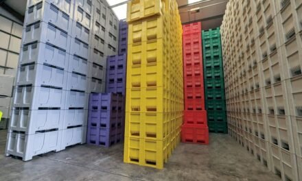 How do plastic pallets and crates contribute to the efficiency and safety of warehouse operations and logistics?