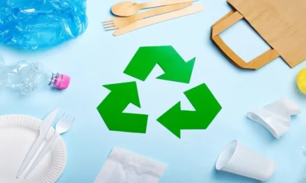 What are the environmental impacts of using plastic boxes, and how can manufacturers mitigate these through recycling or sustainable materials?