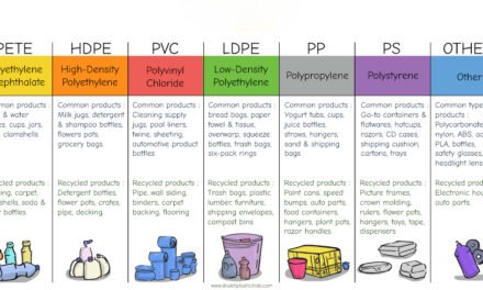 What types of plastics (e.g., PET, HDPE, PP) are commonly used for manufacturing plastic containers, and how do their properties influence applications?